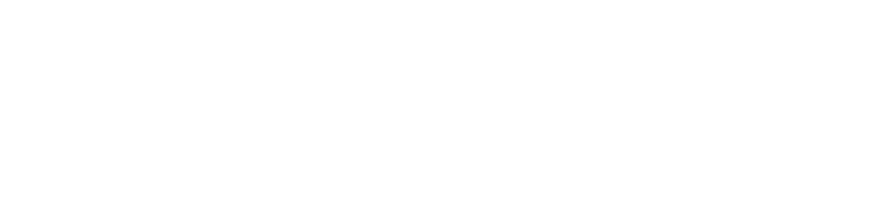 PIAmentor®